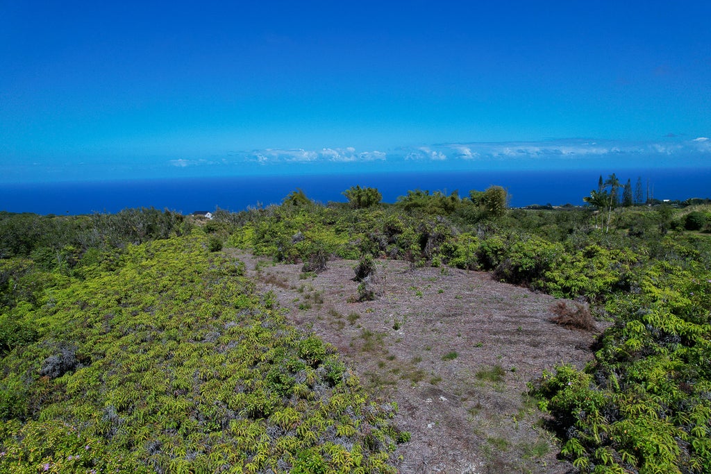 Piha Homesteads, Papaaloa