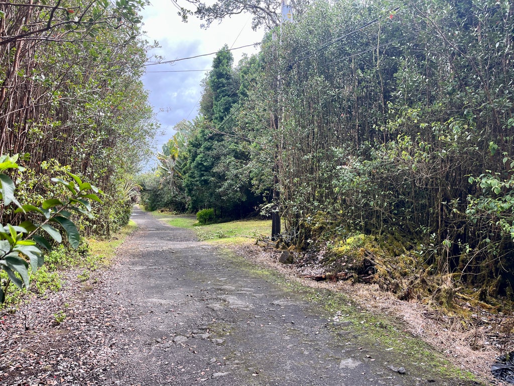 Road 4 (io Kea), Mountain View