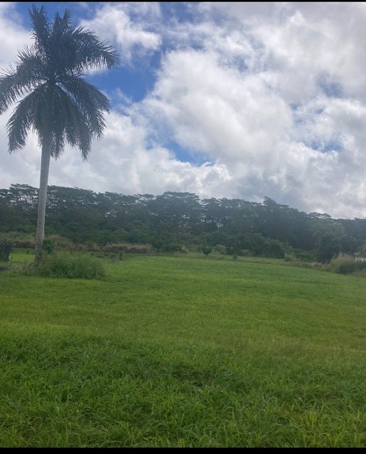 16-2245 Mamaka St, Keaau