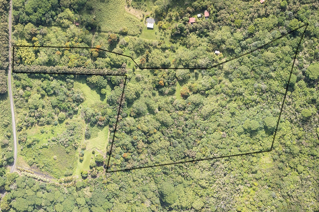 13-790 Kamaili Rd Lot 732, Pahoa