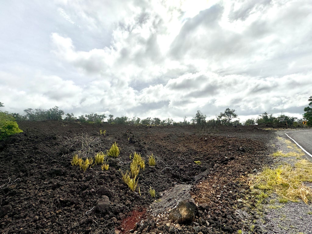 Catamaran Ln, Ocean View
