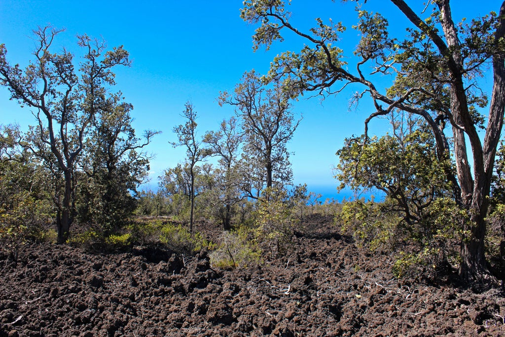 Aloha Blvd, Ocean View
