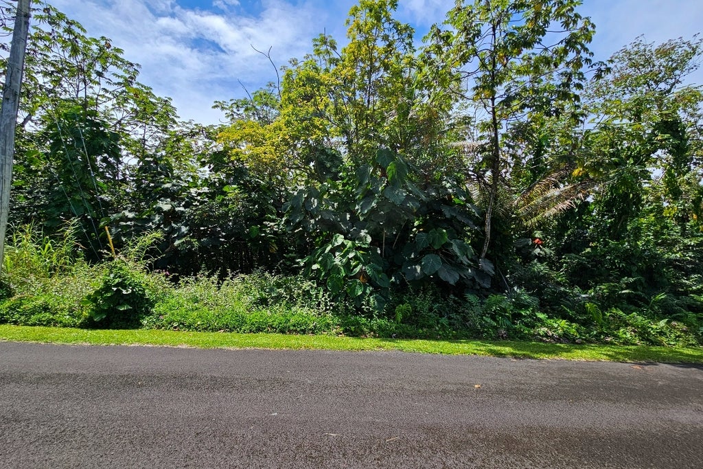 Opihi St, Pahoa