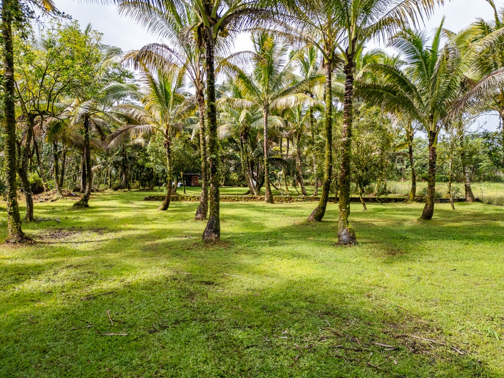 15-1978 9th Ave, Keaau