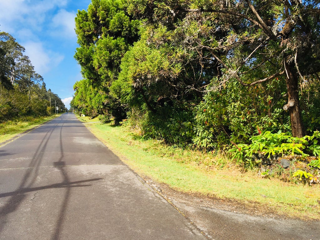 19-3862 Old Volcano Rd, Volcano