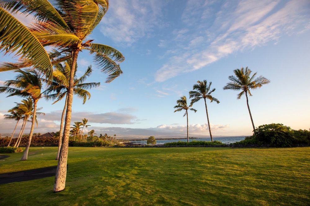 Naupaka Kai Pl, Waikoloa