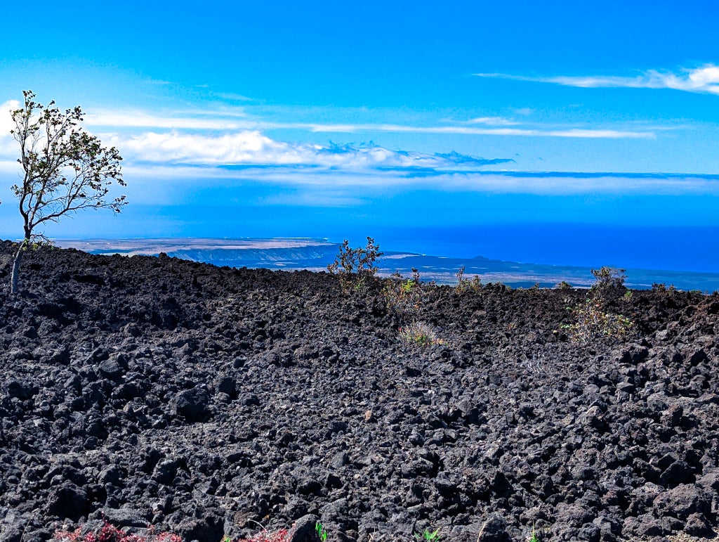 Ocean View Pkwy, Ocean View