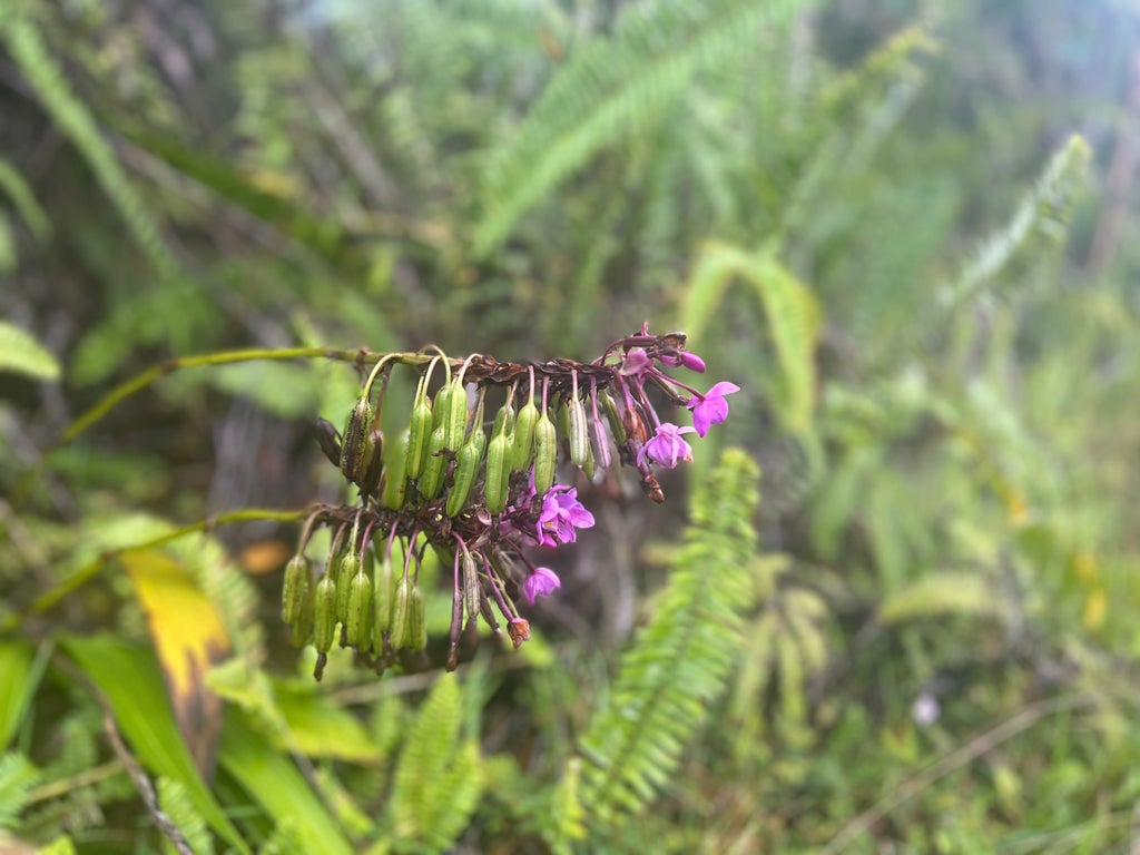 Road 6 (ooaa), Mountain View