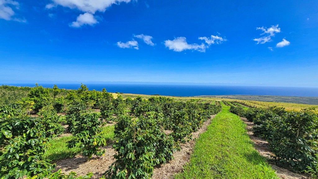 95-3869 Halemauna Rd, Naalehu