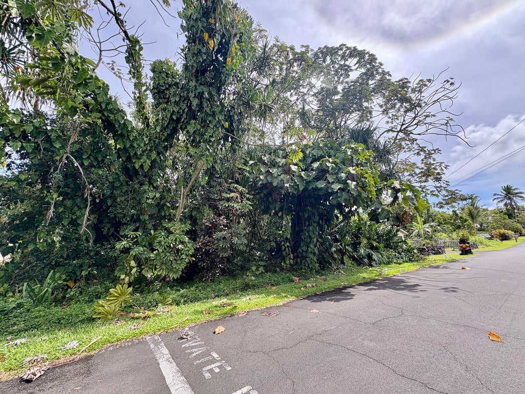 Opae St, Pahoa