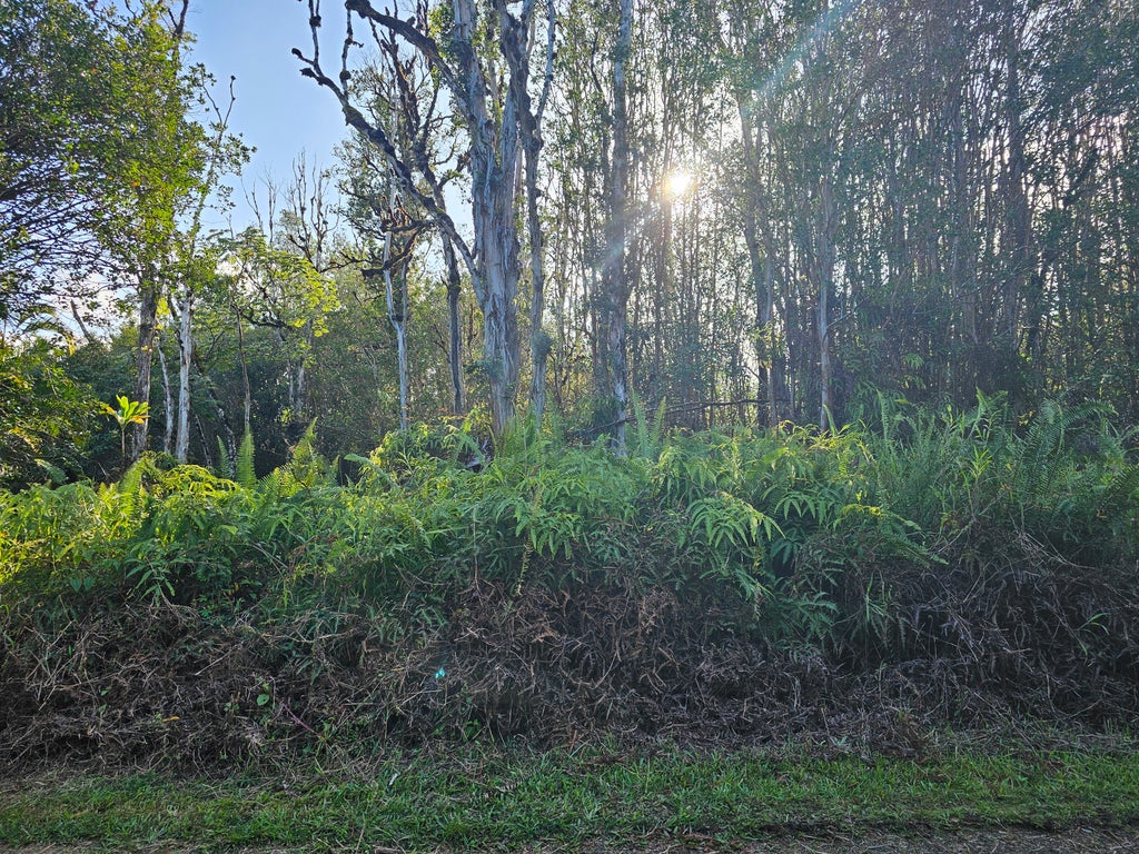 Road 6 (ooaa), Mountain View