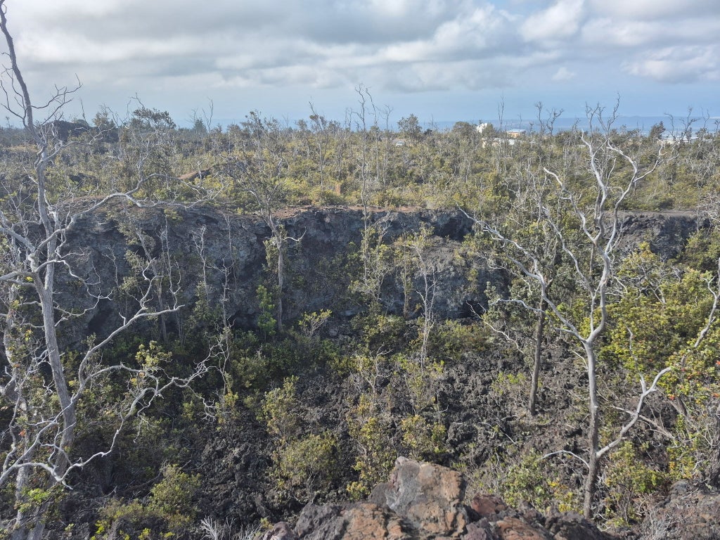 92-9118 Bamboo Ln, Ocean View