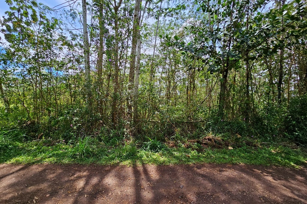Silversword Ct, Kurtistown