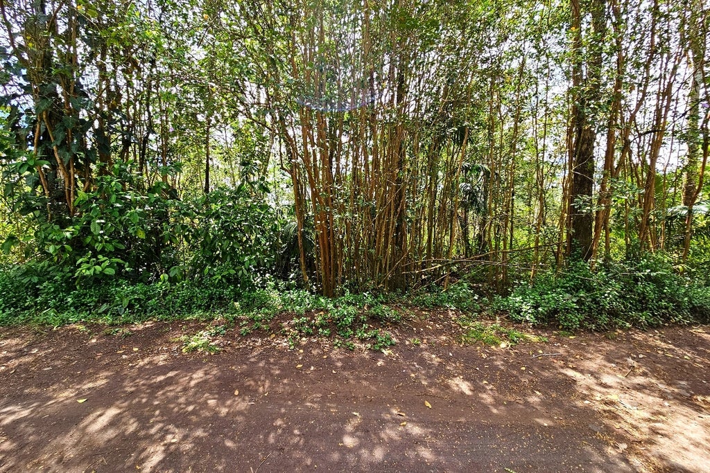 Silversword Ct, Kurtistown