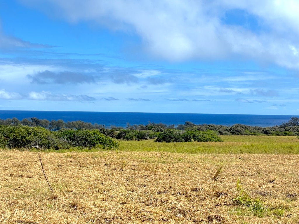 Akoni Pule Hwy, Kapaau