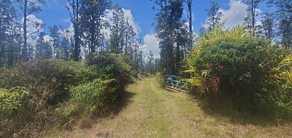 16-2192 Io Kea Rd, Mountain View