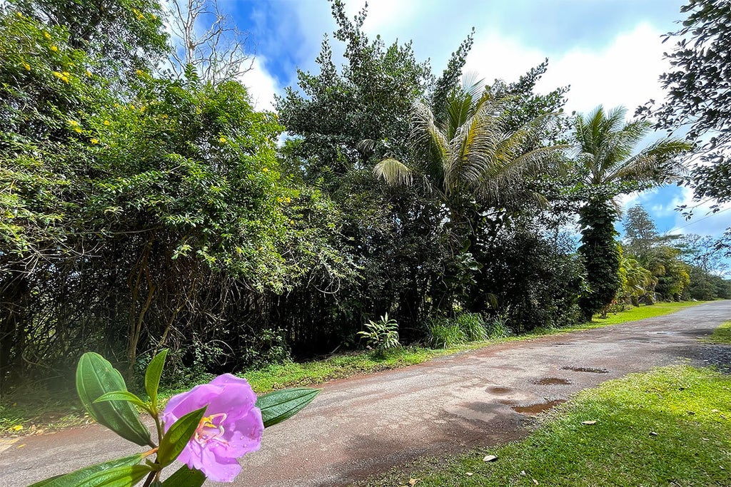 Ocean View Pkwy, Pahoa