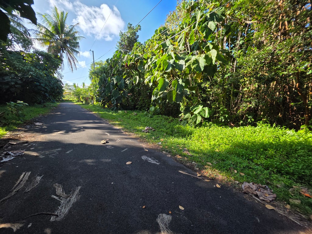 Palani St, Pahoa