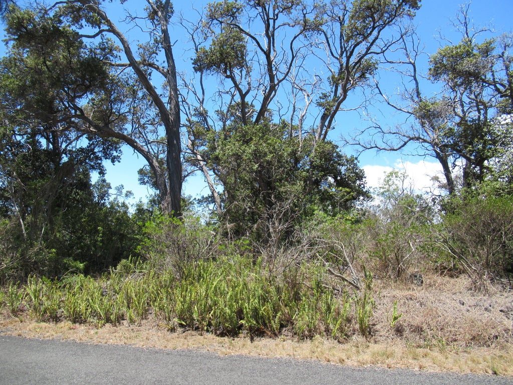 Bamboo Lane, Ocean View