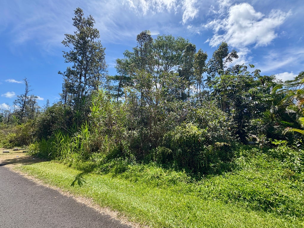 Silversword Dr, Pahoa