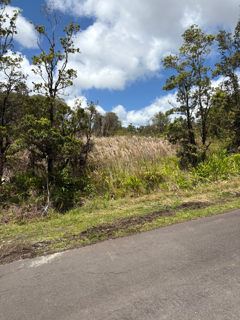 18-4165 Haumalu St, Volcano