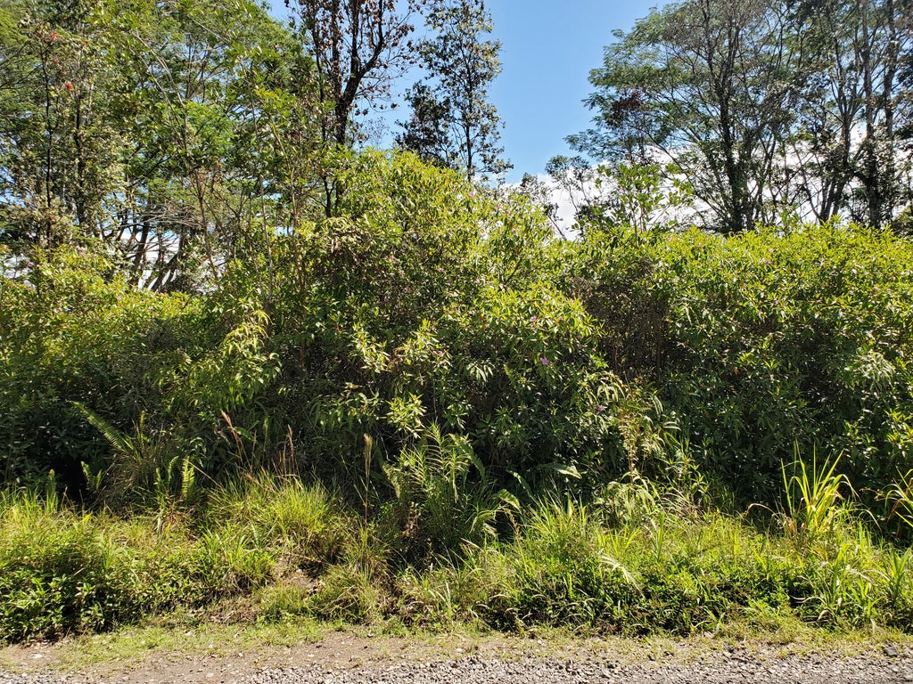 37th Ave, Kurtistown