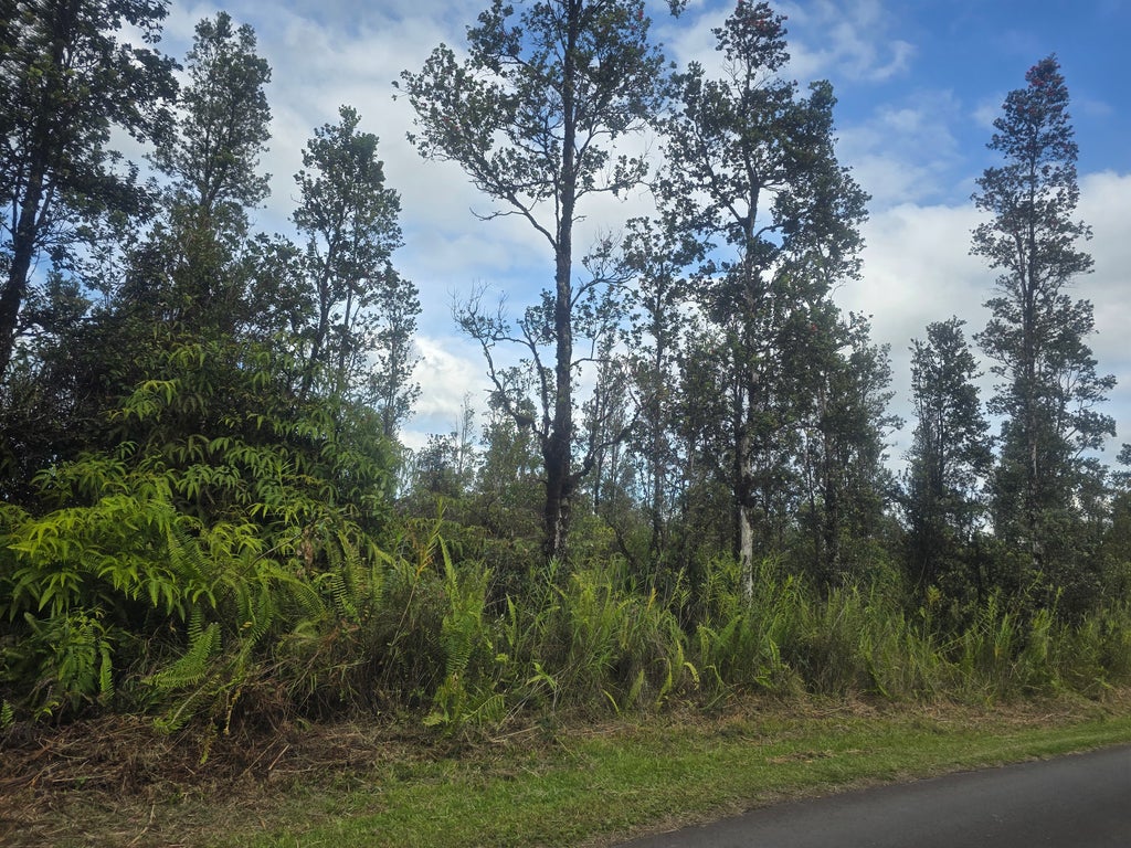 16-1793 Uhini Ana Rd, Mountain View