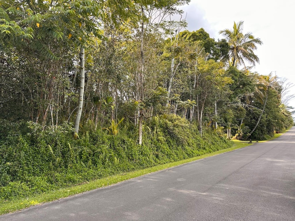 Kupono St, Pahoa