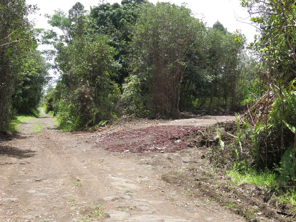 Road 11 (pulelehua), Kurtistown