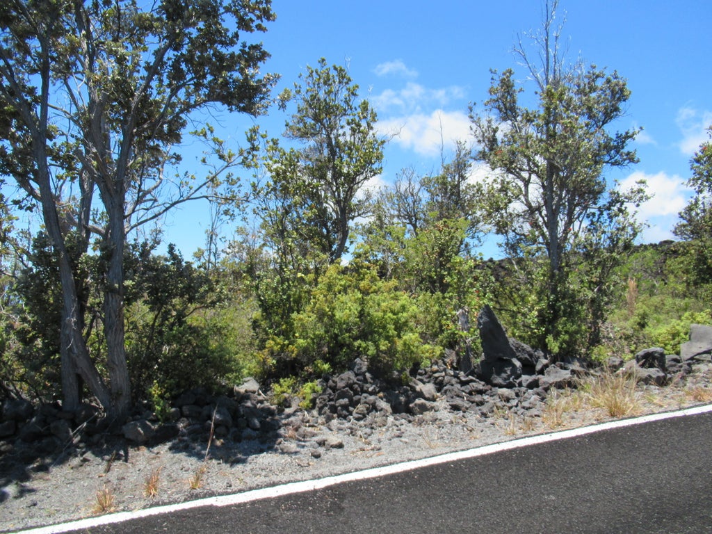 Pineapple Pkwy, Ocean View