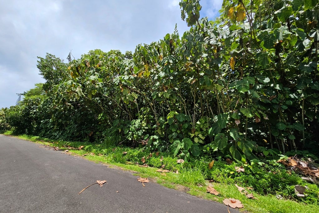 Papai St, Pahoa