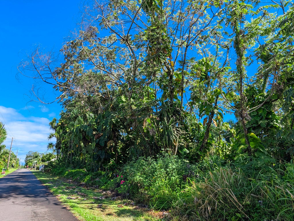 15-2793 Papai St, Pahoa