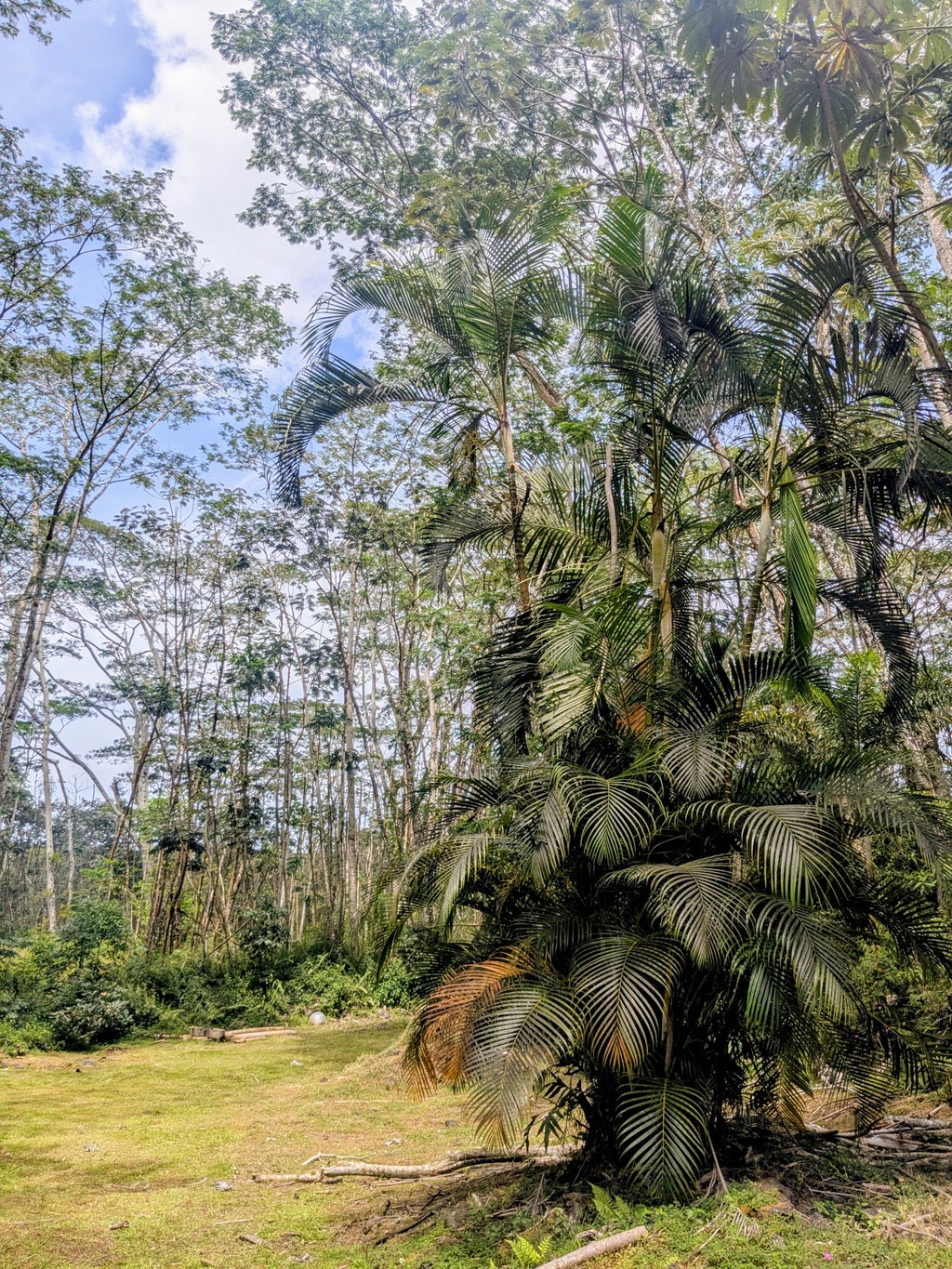 Pakalana Rd, Pahoa