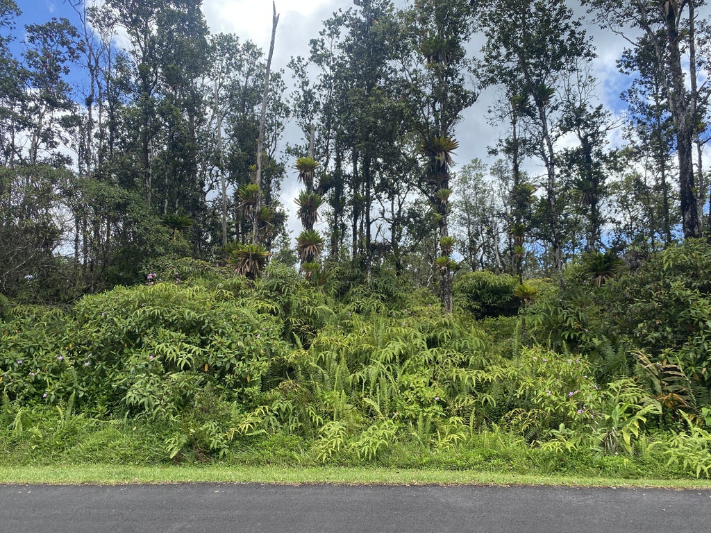 Oneloa St, Pahoa