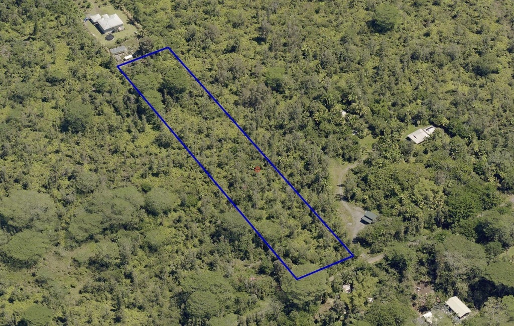 16-1301 Pulelehua Rd, Kurtistown