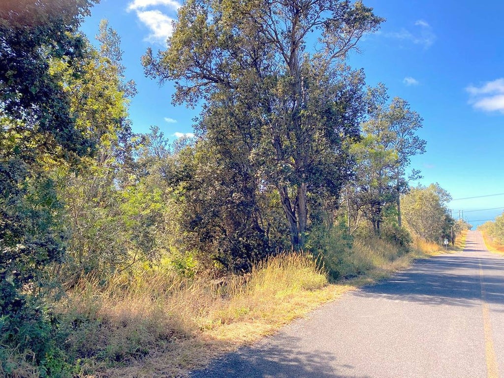 92-2112 Palm Pkwy, Ocean View