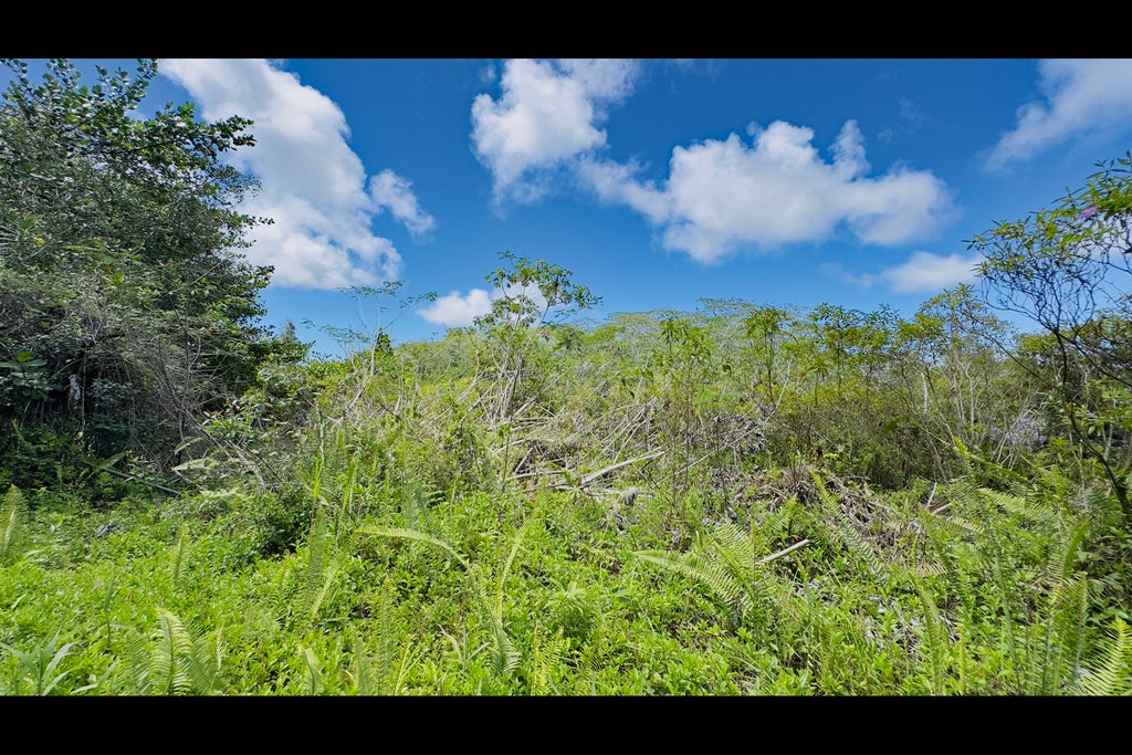 15-1995 31st Ave, Keaau