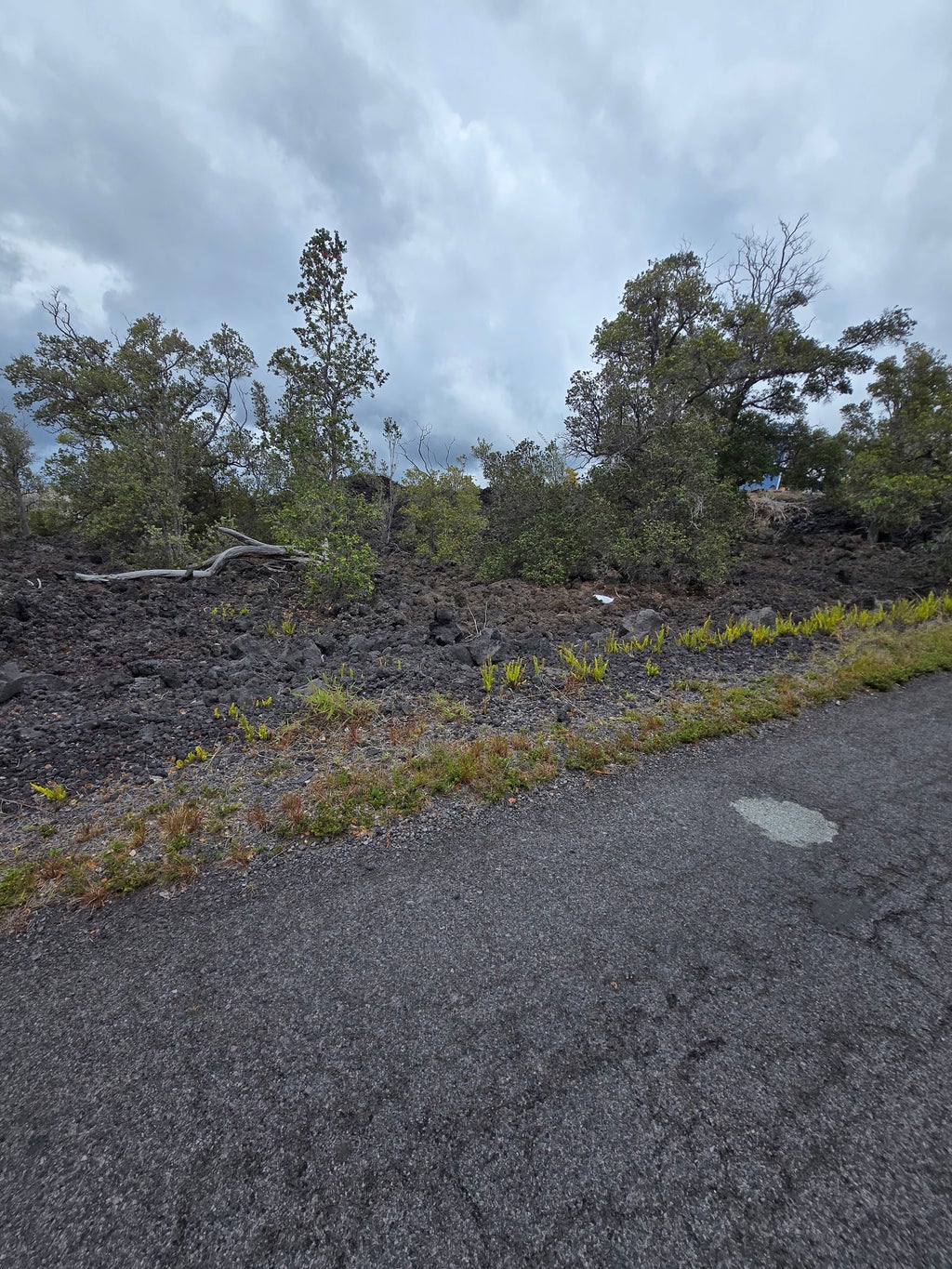 Paradise Pkwy, Ocean View