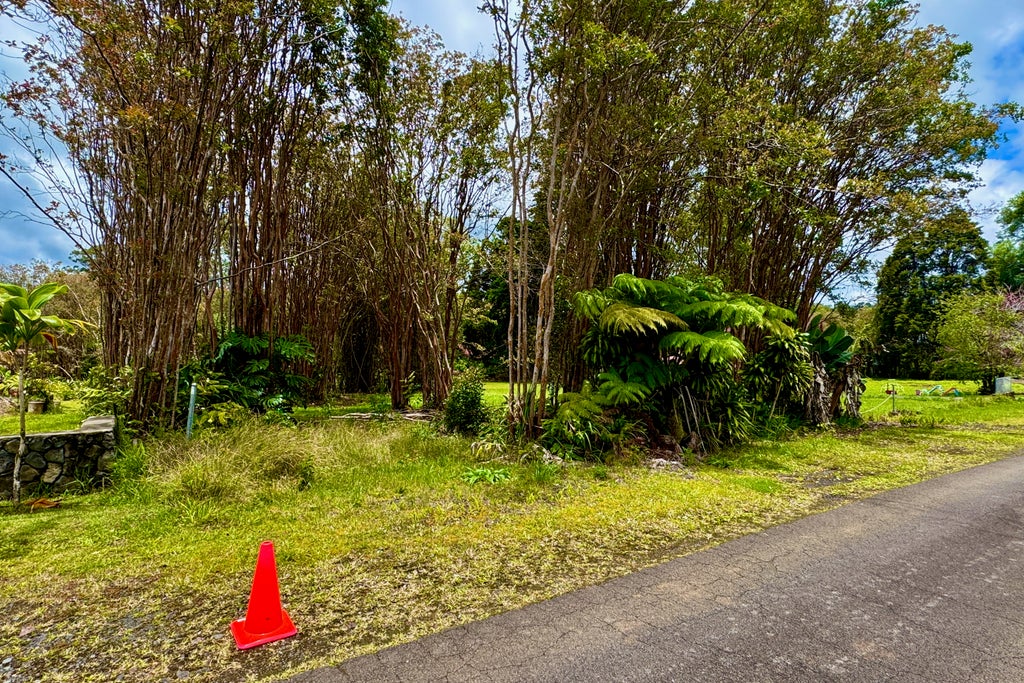 18-1993 Hapuu Nani Rd, Volcano