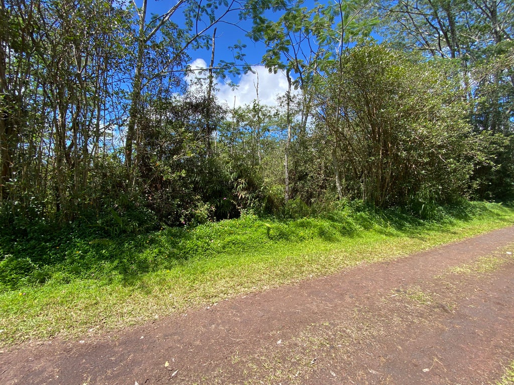 Seadrift Rd, Pahoa