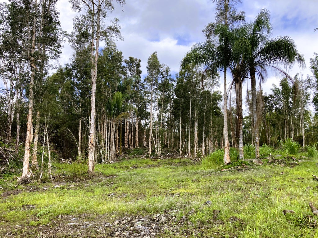 16-1234 Mapuana St, Kurtistown