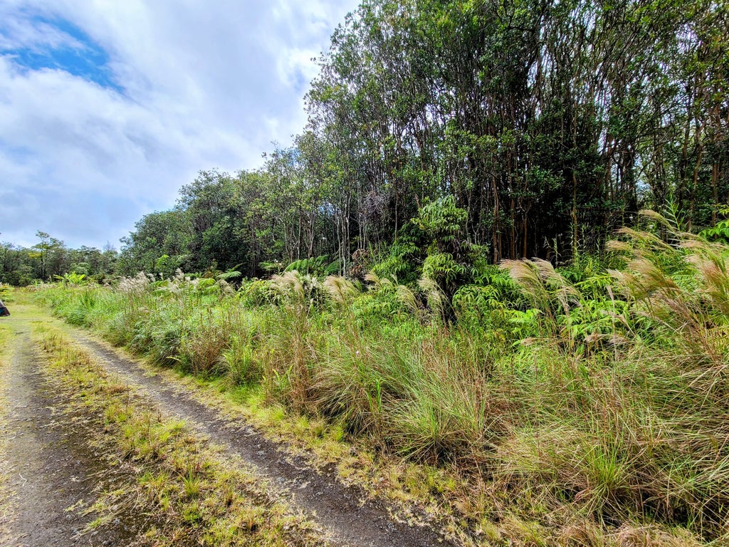 18-2328 Ola Kino Rd, Volcano