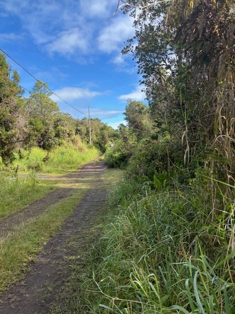Waikiki St, Mountain View