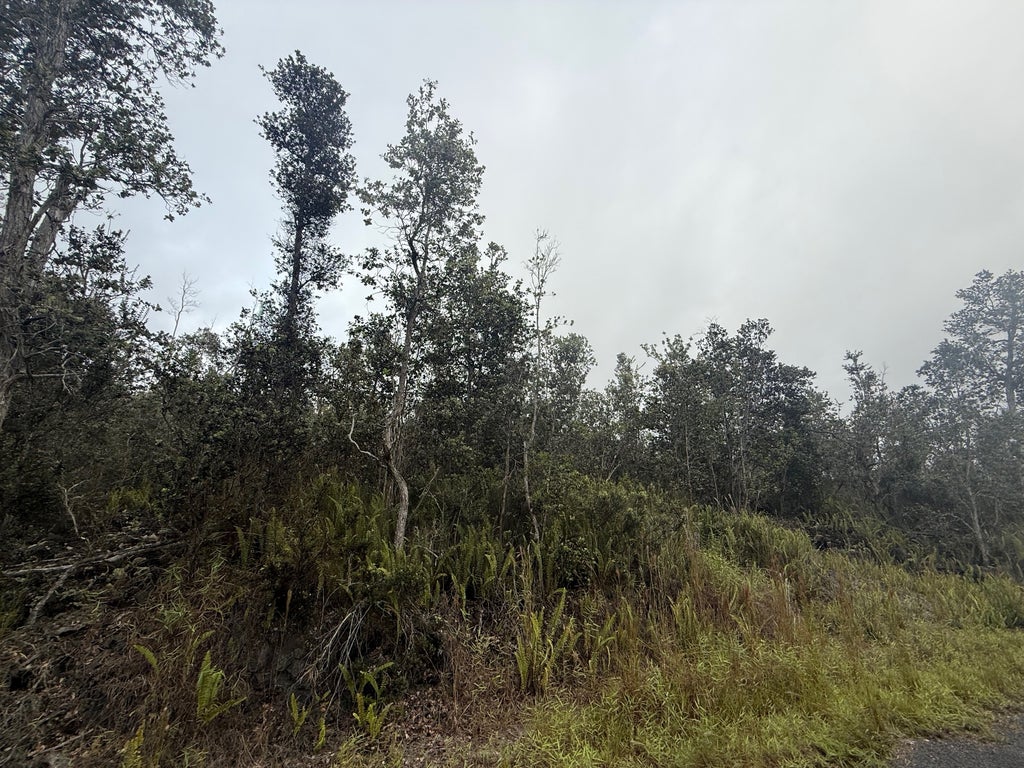 92-9172 Tree Fern Ln, Ocean View