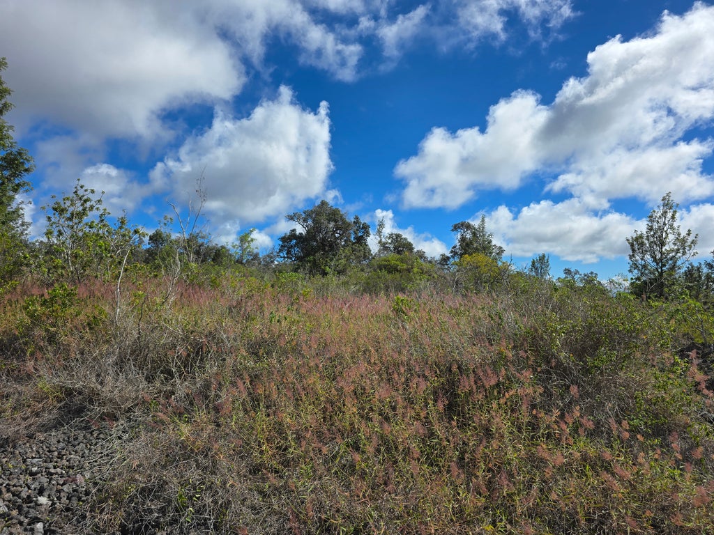 Paradise Cir Mauka, Ocean View
