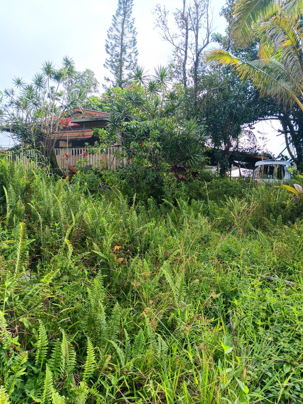 16-2062 Hapuu Dr, Pahoa