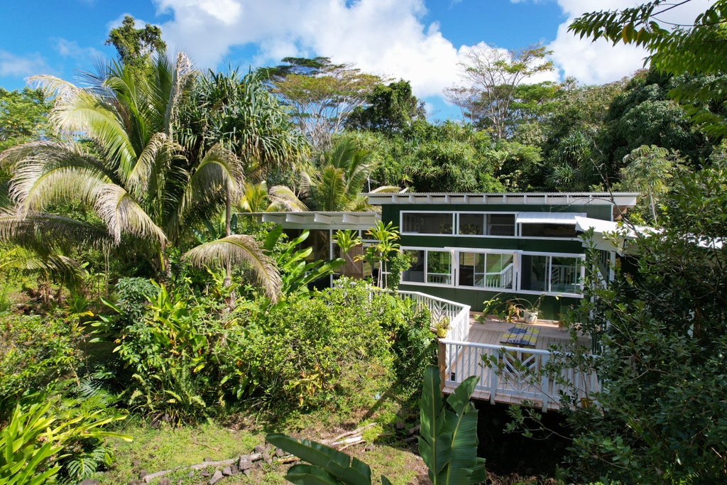 14-4796 Sadilek Rd, Pahoa