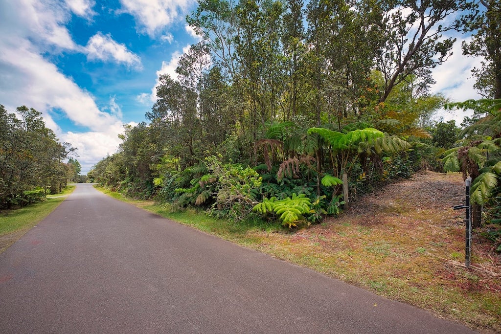 11-3754 Nahelenani St, Volcano