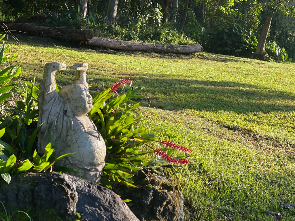 13-3980 Pahoa Kalapana Rd, Pahoa