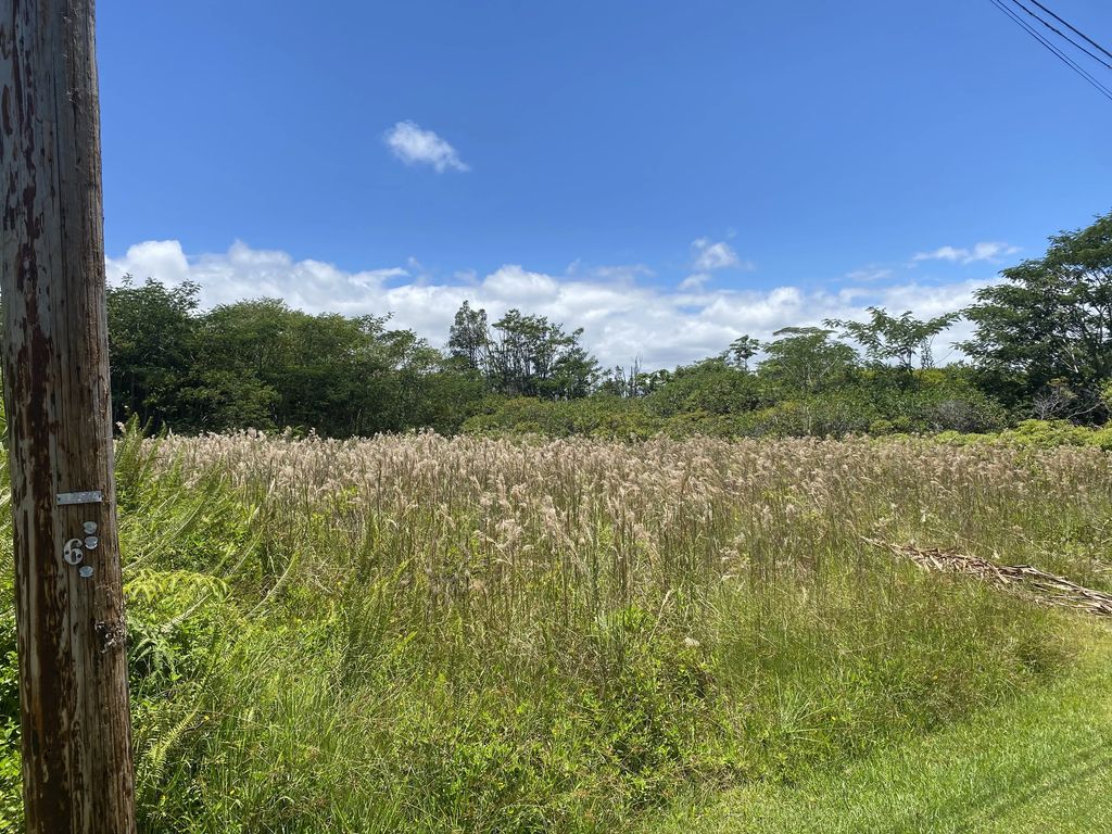 Aku St, Pahoa
